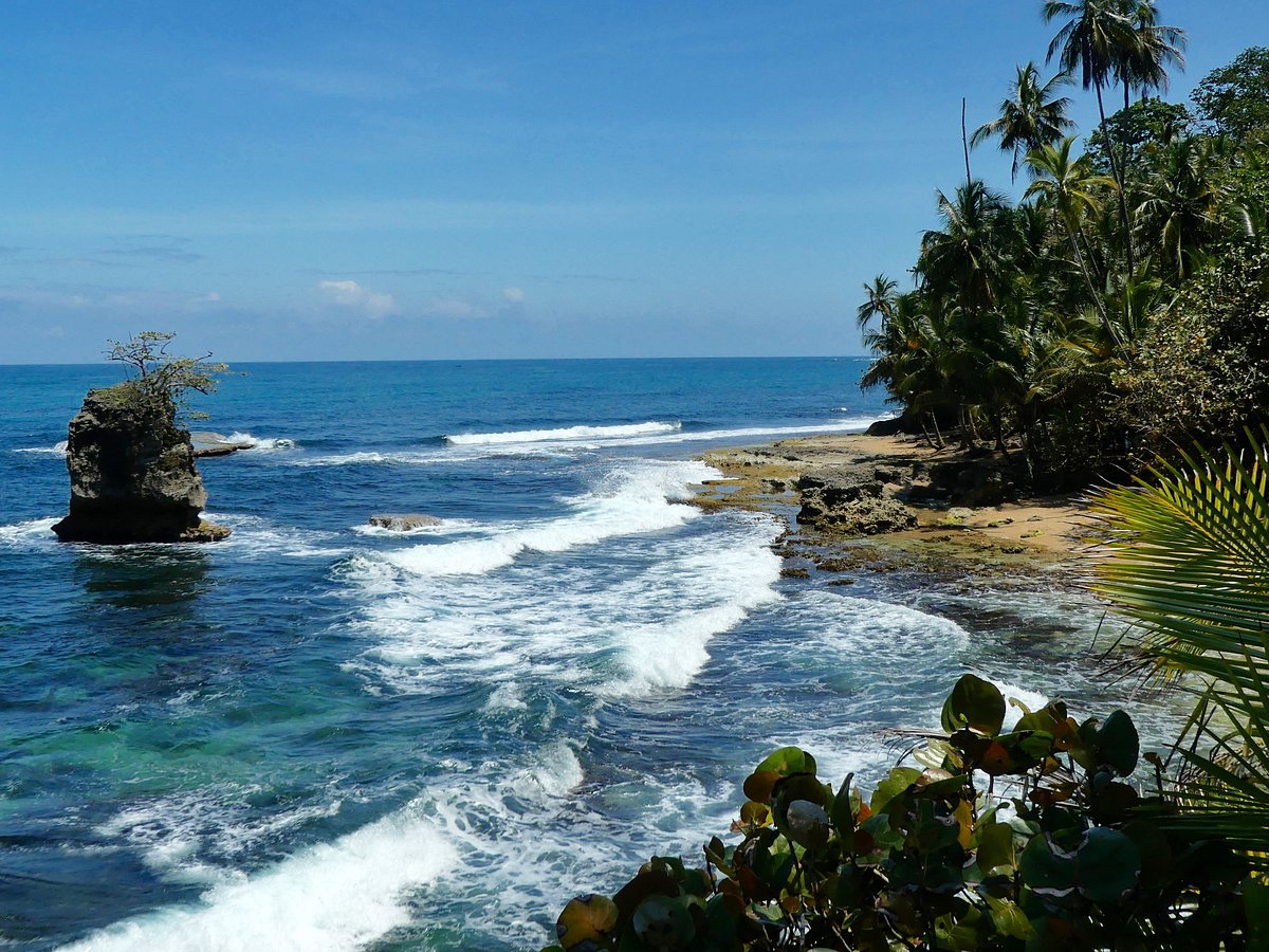 Manzanillo (Limón)